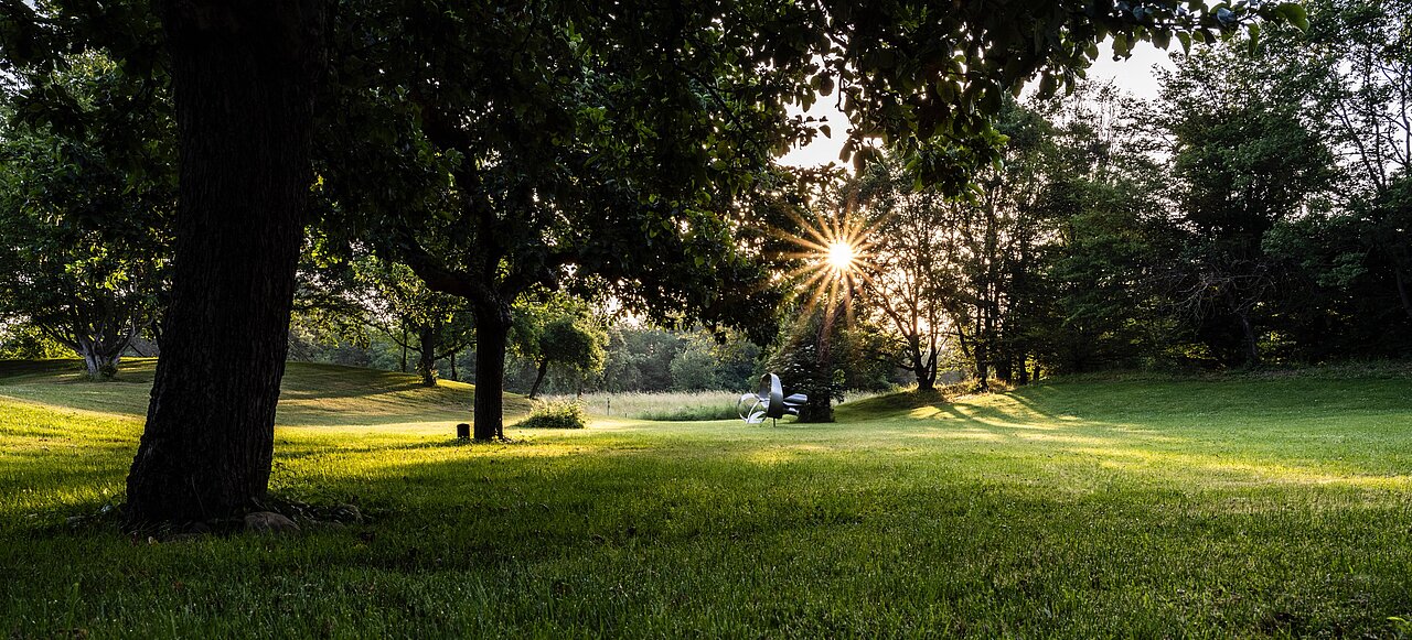 Grünes Firmengelände von Plakat-verkauft.de mit Bäumen, Wiese und Sonnenlicht – Arbeitsplatz im Grünen mit entspannter Atmosphäre.